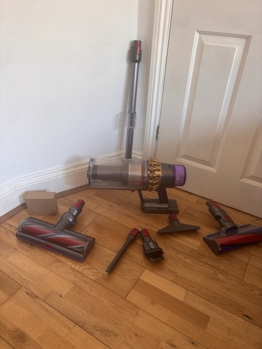 Dyson outsize sv29 - sv29, xl